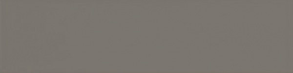 Equipe Evolution Gris Oscuro 10 x 40 cm