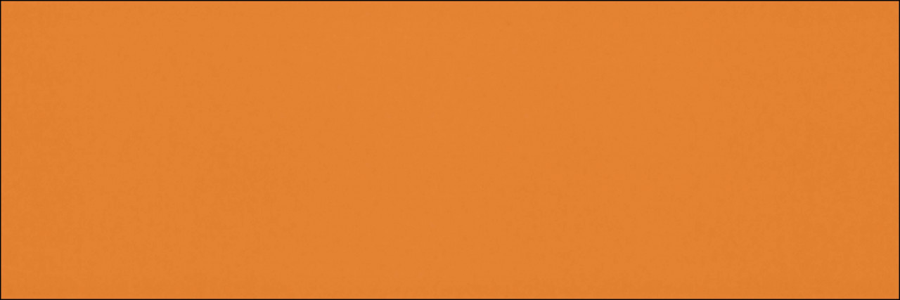 Monopole Colors Liso Naranja Brillo 10 x 30 cm