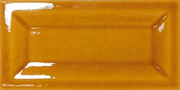 Equipe Evolution INMETRO Amber 7,5 x 15 cm
