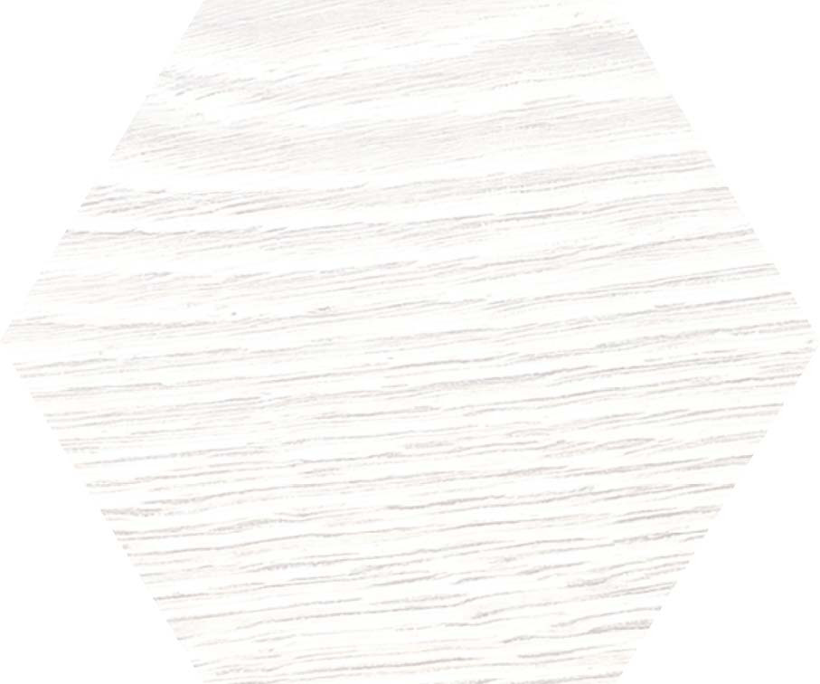Monopole Orinoco Blanco Exa 20 x 24 cm