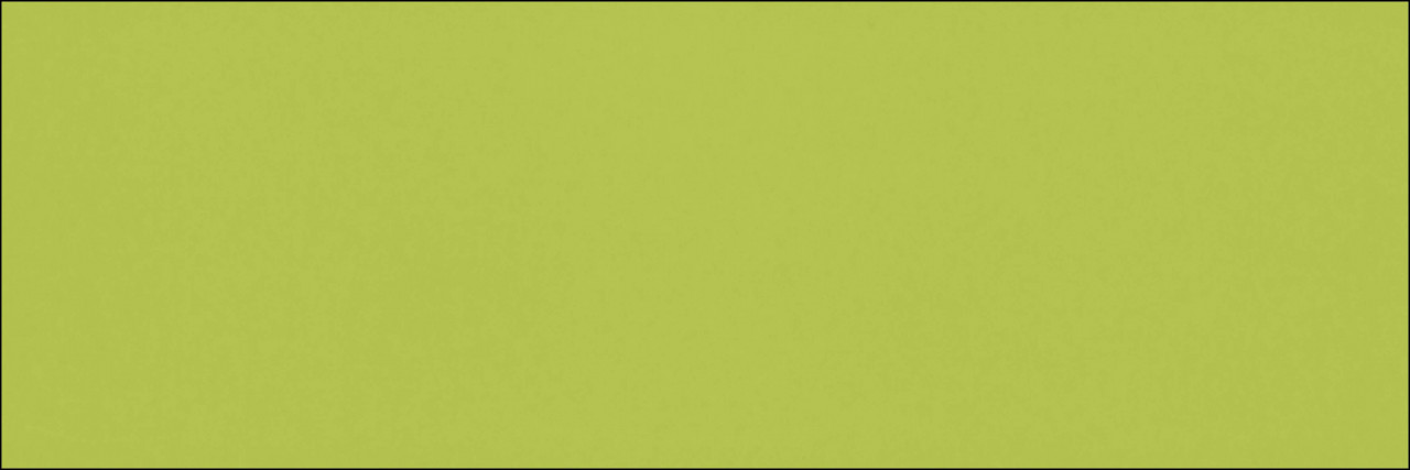 Monopole Colors Liso Verde Brillo 10 x 30 cm