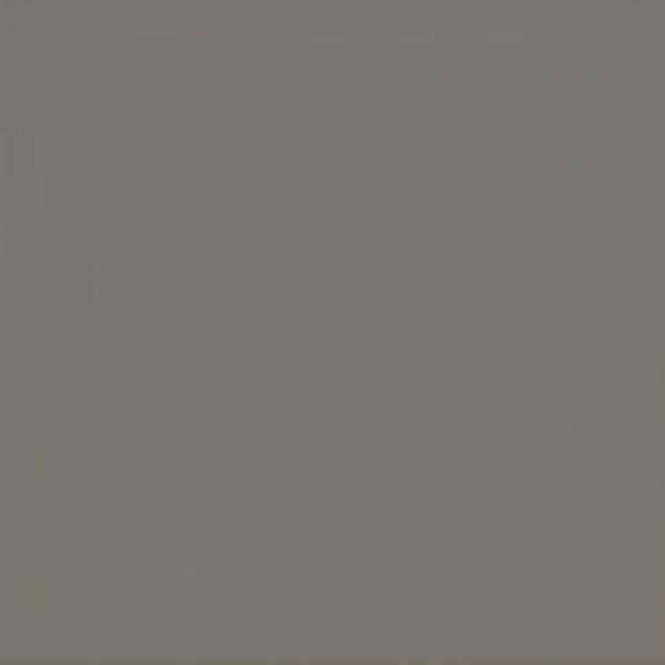 Equipe Evolution Gris Oscuro 15 x 15 cm
